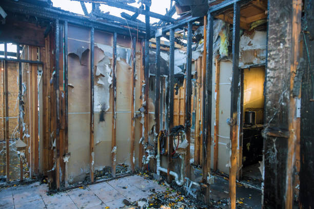 Professional Fire Damage Repair technician working in Stacy, MN